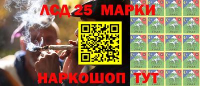 прущие грибы Кимры