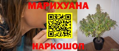 прущие грибы Кимры