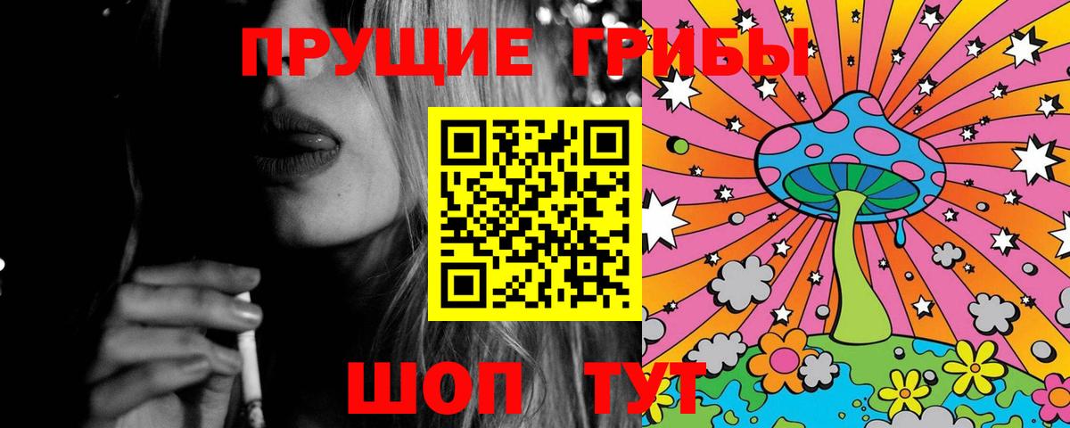 Псилоцибиновые грибы Psilocybe  Вход с VPN  закладки  Черкесск 